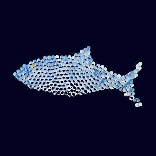 LolKeegan BluePlasticsFish2